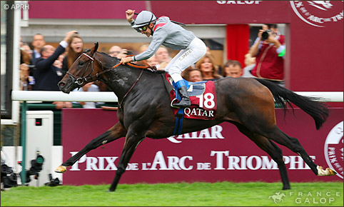 6,2 millió eurós rekordáron kelt el egy versenyben még sohasem futott csikó 2 2013 10 06 08