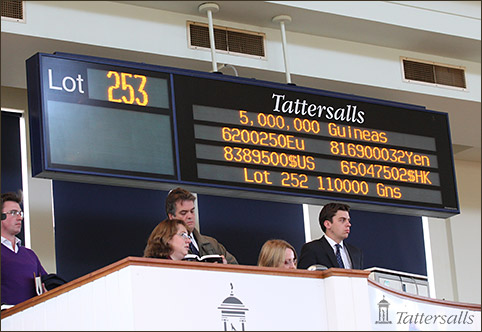 6,2 millió eurós rekordáron kelt el egy versenyben még sohasem futott csikó 4 2013 10 14 03