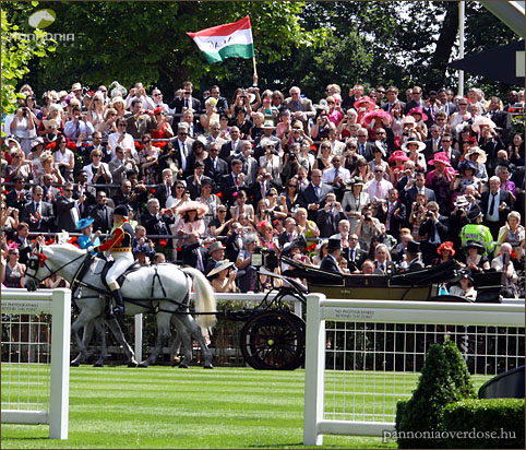 ascot-1-05.jpg
